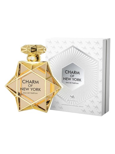 Charm of New York by Le Chameau
