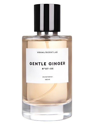 Gentle Ginger № 07-05 by Usual Parfums