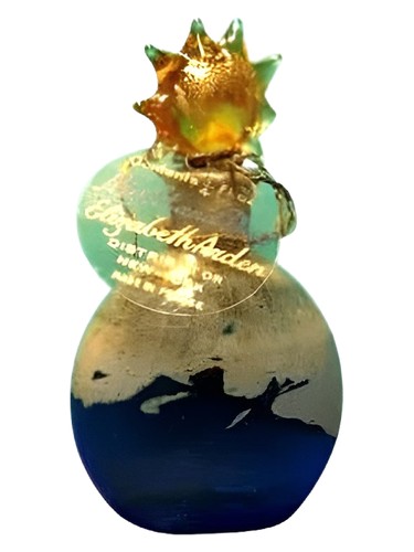 Night and Day by Elizabeth Arden