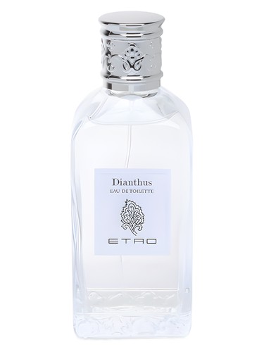 Dianthus by Etro