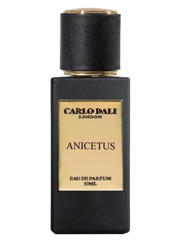 Anicetus by Carlo Dali