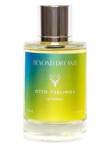 Beyond Dreams by Otto Feelings