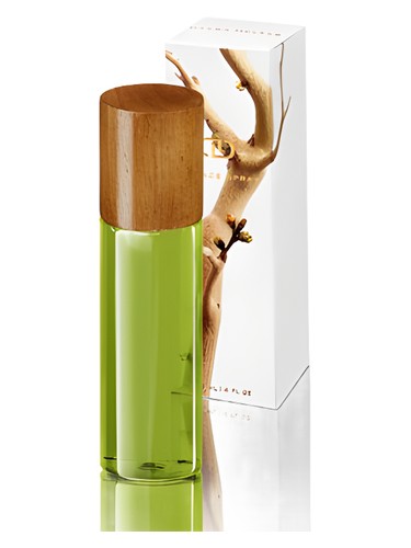 Manzanita by DayNa Decker