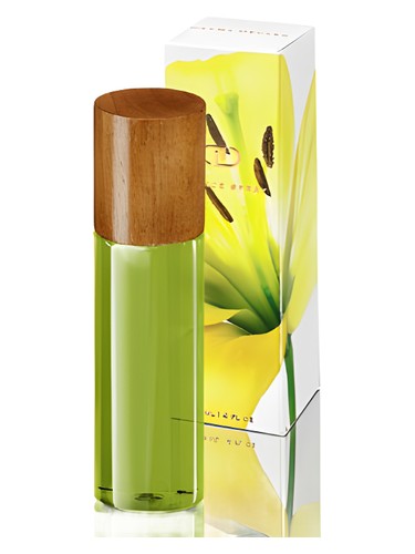 Viva by DayNa Decker