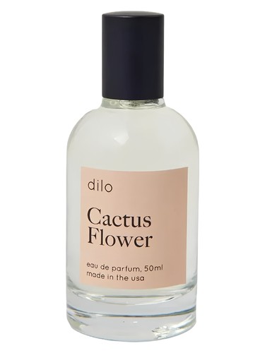 Cactus Flower by Dilo