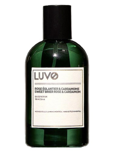 Sweet-Brier Rose and Cardamom by LUVO Fragrances
