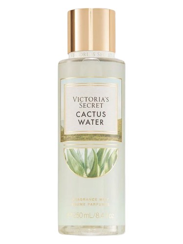 Cactus Water Victoria's Secret perfume by Victoria s Secret