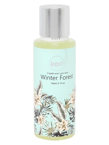 Winter Forest Mist by kari