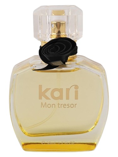 Mon Tresor by kari