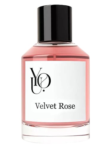 Velvet Rose by YOU