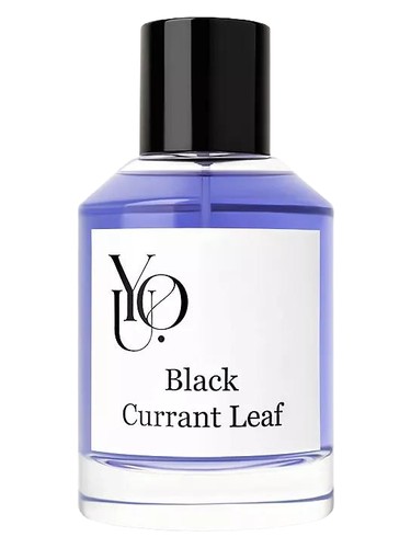 Black Currant Leaf by YOU