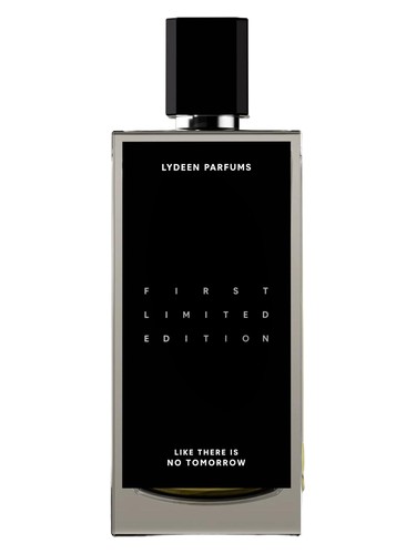 Like There Is No Tomorrow by Lydeen