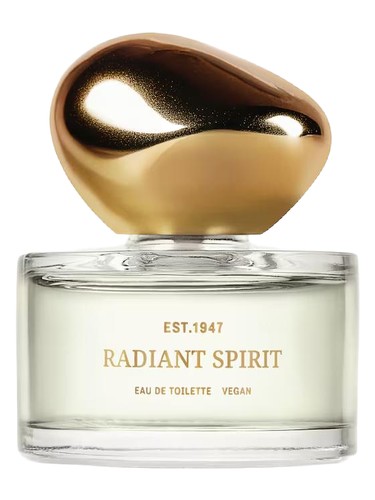 Radiant Spirit H&M perfume by H M