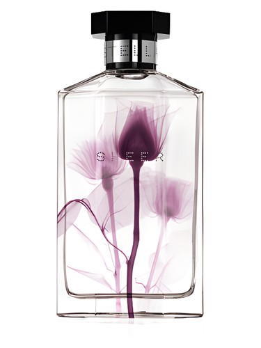 Sheer Stella 2011 by Stella McCartney