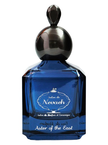 Aster of the East by Salon de Nevaeh