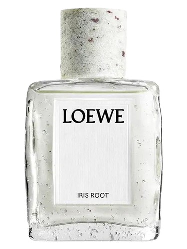 Iris Root by Loewe