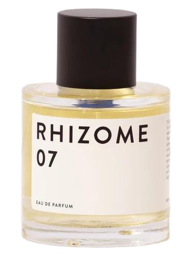 Rhizome 07 by Rhizome