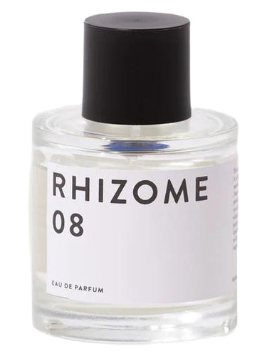 Rhizome 08 by Rhizome