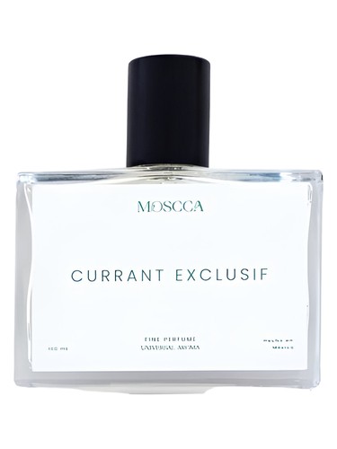 Currant Exclusif by Moscca