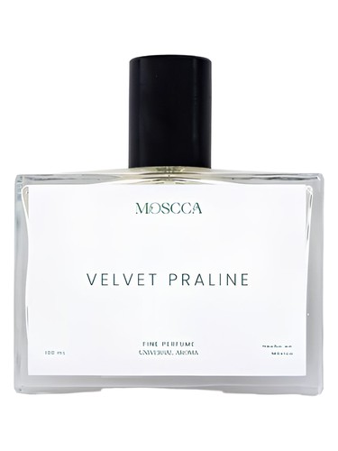 Velvet Praline by Moscca