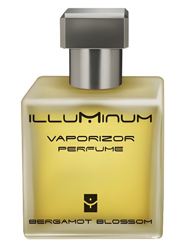 Bergamot Blossom by Illuminum