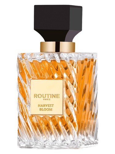 Harvest Bloom by Routine Paris