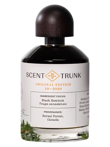 Black Hemlock by Scent Trunk