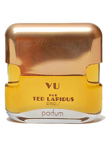 Vu par Ted Lapidus by Ted Lapidus