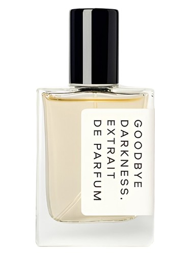 Goodbye Darkness by Synonyme