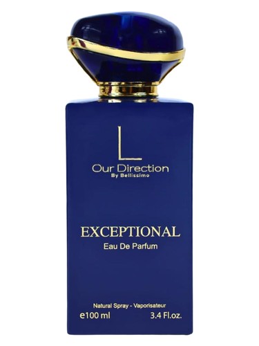 Our Direction Exceptional by Bellissimo Perfumes