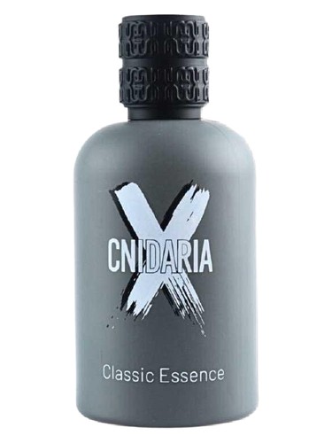 Cnidaria X Classic Essence by Samam