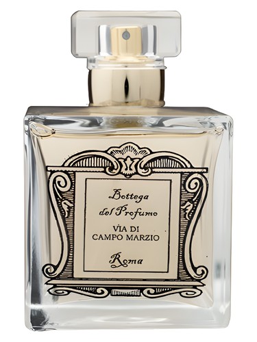 Via di Campo Marzio by Bottega del Profumo