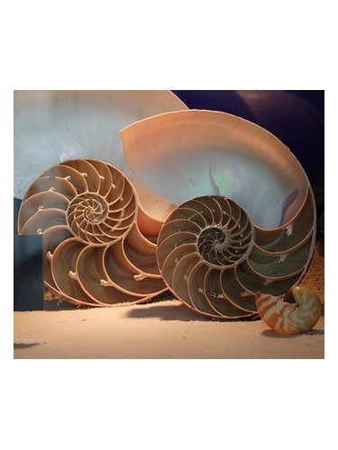 Goddess by Bud Parfums