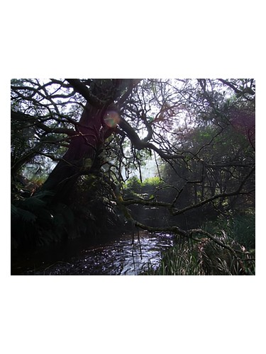 Naiad by Bud Parfums