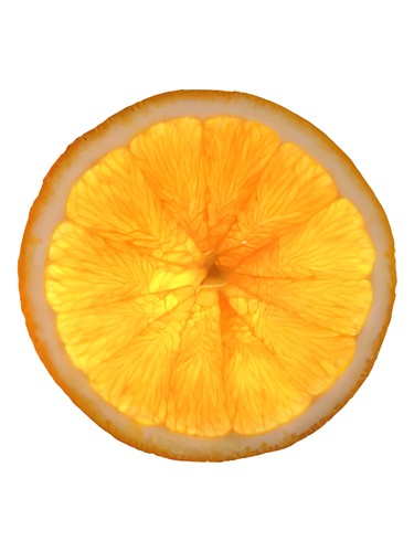 Chocolate Soldier by Bud Parfums