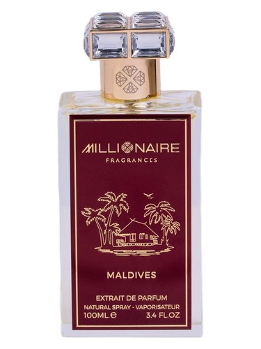Maldives by Millionaire