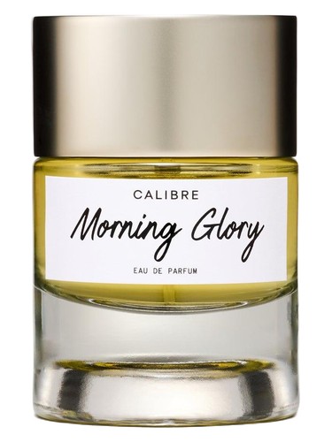 Morning Glory by Calibre