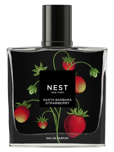 Santa Barbara Strawberry by Nest