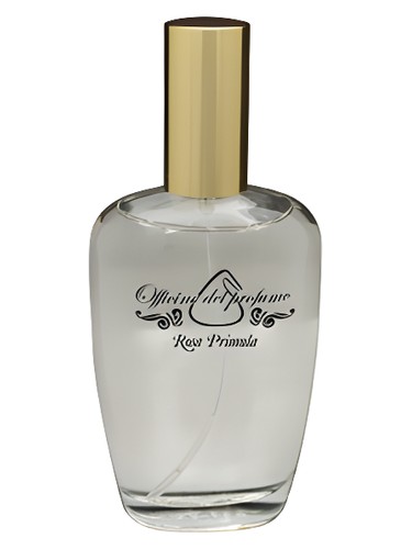 Rosa Primula by Officine del Profumo