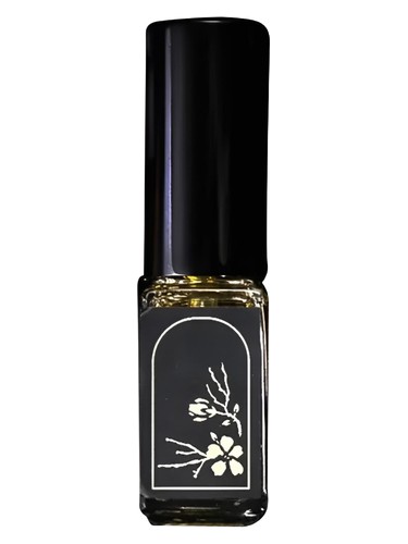 Cherry Blossom by Lvnea