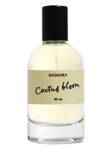 Cactus Bloom by Saguara