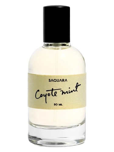 Coyote Mint by Saguara