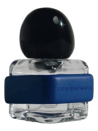 Extroverted Introvert by Ces Enfants