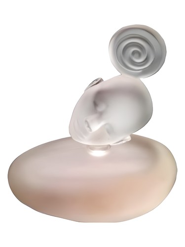 Songe pour Elle by Majda Bekkali