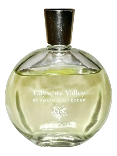 Lily of the Valley by Norfolk Lavender