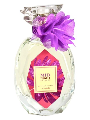 MidNight Silence by Novalski