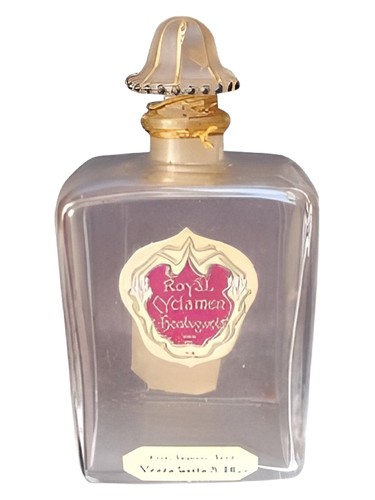 Royal Cyclamen by Houbigant