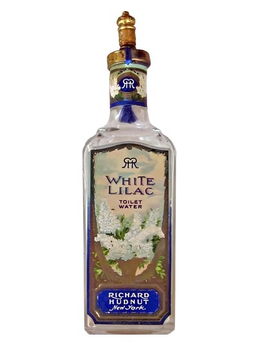 White Lilac