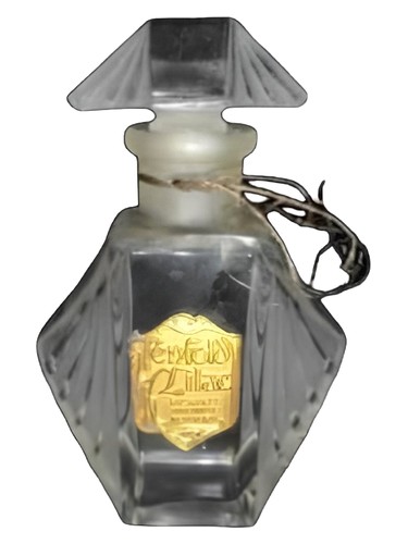 Tenfold Lilac by Richard Hudnut