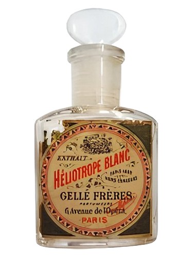 Héliotrope Blanc by Gelle Freres
